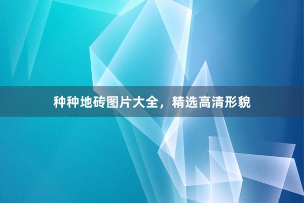 种种地砖图片大全，精选高清形貌